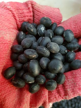 이은호님의 작성글 사진