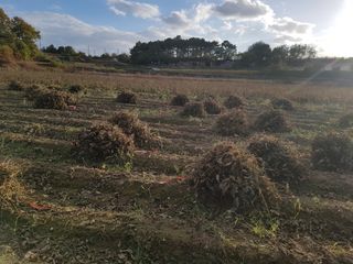 이은호님의 작성글 사진