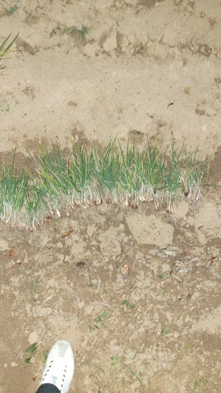 장선영님의 자유주제 · 자유게시판 작성글 사진