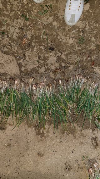 장선영님의 자유주제 · 자유게시판 작성글 사진