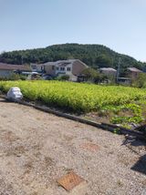 팜모닝 자유주제·자유게시판 게시글 이미지