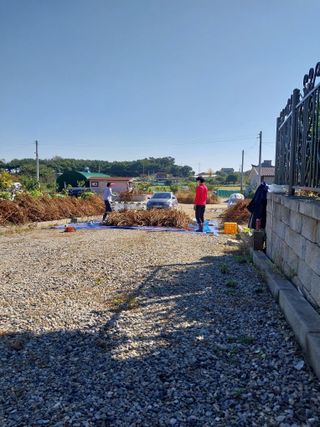 대부도하비님의 자유주제 · 자유게시판 작성글 사진