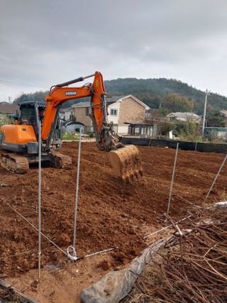 대부도하비님의 자유주제 · 자유게시판 작성글 사진