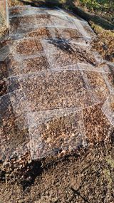 팜모닝 자유주제·자유게시판 게시글 이미지