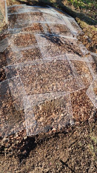 모든 보일러 설비님의 자유주제 · 자유게시판 작성글 사진