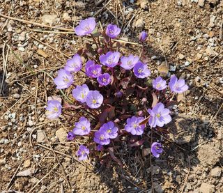모든 보일러 설비님의 자유주제 · 자유게시판 작성글 사진