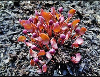 모든 보일러 설비님의 자유주제 · 자유게시판 작성글 사진