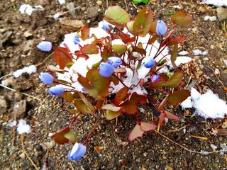 모든 보일러 설비님의 자유주제 · 자유게시판 작성글 사진