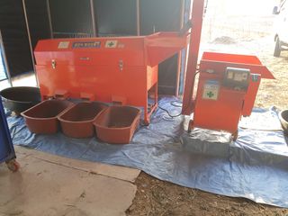 이동준님의 콩 · 자유게시판 작성글 사진