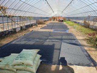 이동준님의 콩 · 자유게시판 작성글 사진