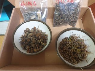 최순님의 자유주제 · 자유게시판 작성글 사진