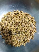 팜모닝 콩·자유게시판 게시글 이미지