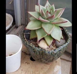 비타민님의 작성글 사진