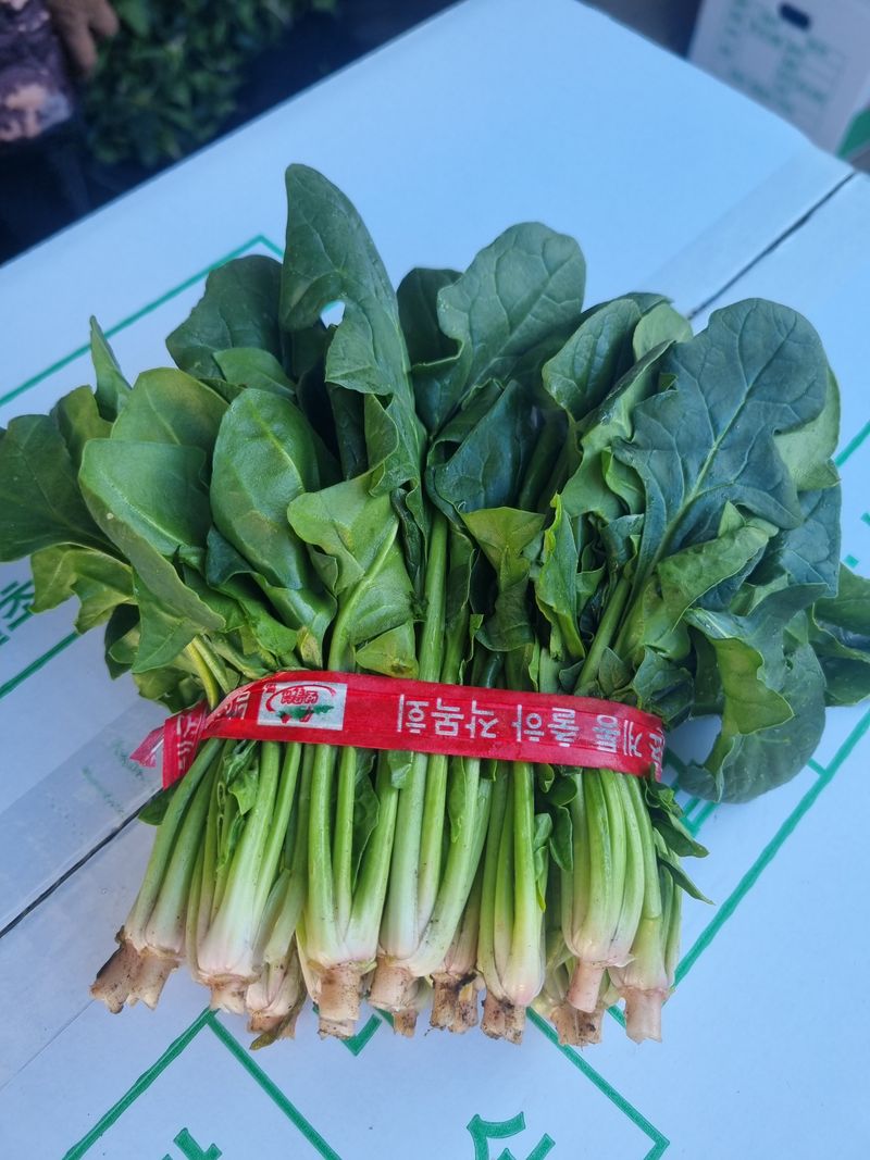 장터 상품 [●보물섬시금치 7kg~●] 썸네일