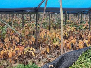 모두팜님의 농사, 무엇이든 물어보세요! · 참여글 작성글 사진