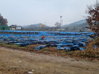 모두팜님의 농사, 무엇이든 물어보세요! · 참여글 작성글 사진