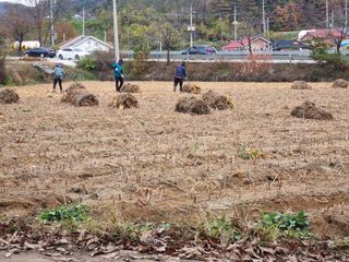 모두팜님의 농사, 무엇이든 물어보세요! · 참여글 작성글 사진