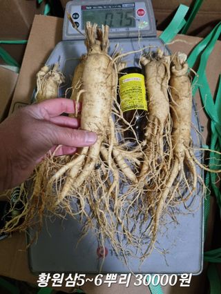 모두팜님의 농사, 무엇이든 물어보세요! · 참여글 작성글 사진