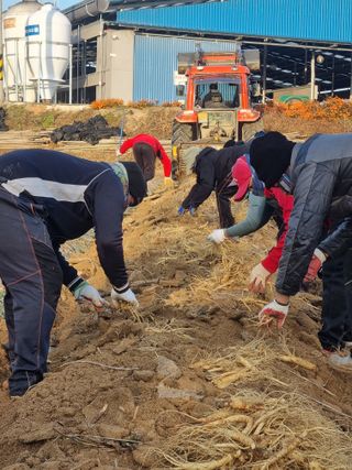 모두팜님의 농사, 무엇이든 물어보세요! · 참여글 작성글 사진