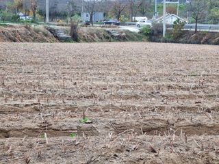 모두팜님의 농사, 무엇이든 물어보세요! · 참여글 작성글 사진