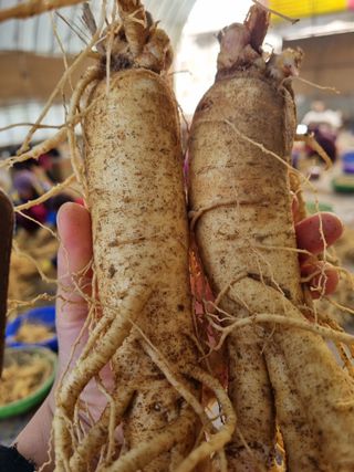 모두팜님의 농사, 무엇이든 물어보세요! · 참여글 작성글 사진