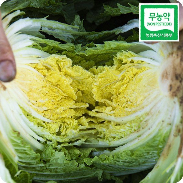 장터 상품 [해남 명품 무농약 절임배추 20kg] 썸네일