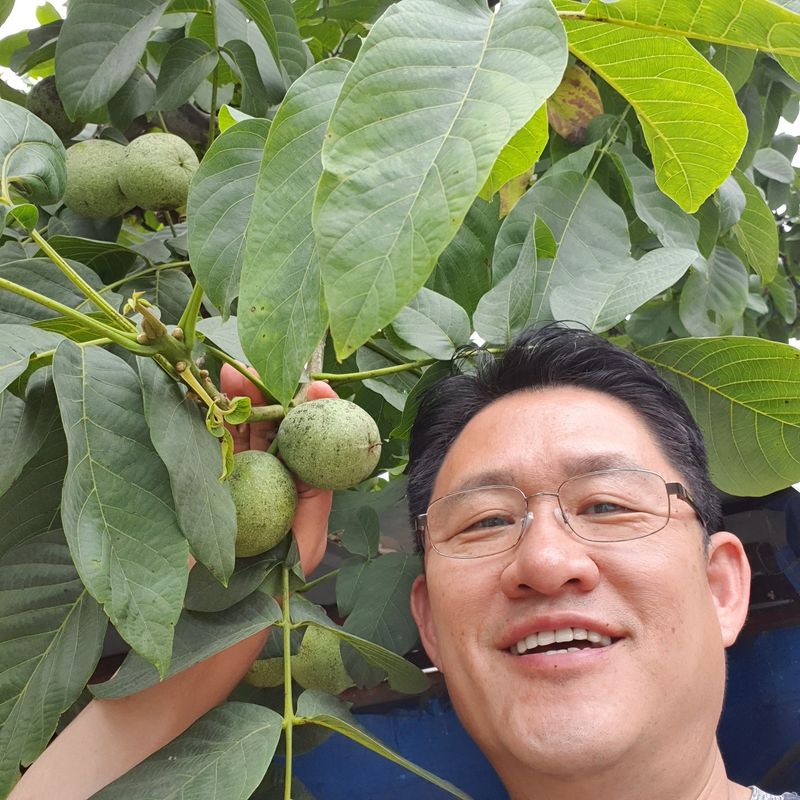 이명기님의 장터 판매 상품 [국산 호두기름180mlㅡ2병] 첨부 사진