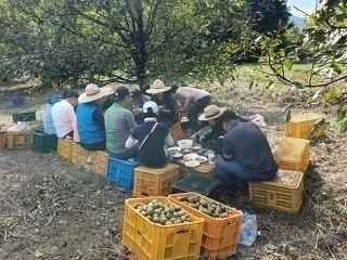이명기님의 장터 판매 상품 [국산 호두기름180mlㅡ2병] 첨부 사진