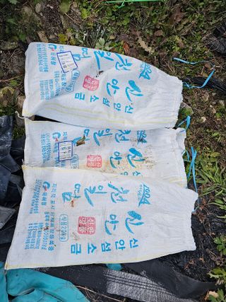 백용기님의 자유주제 · 자유게시판 작성글 사진