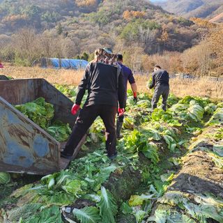 백용기님의 자유주제 · 자유게시판 작성글 사진