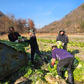 백용기님의 자유주제 · 자유게시판 작성글 사진