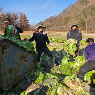 백용기님의 자유주제 · 자유게시판 작성글 사진