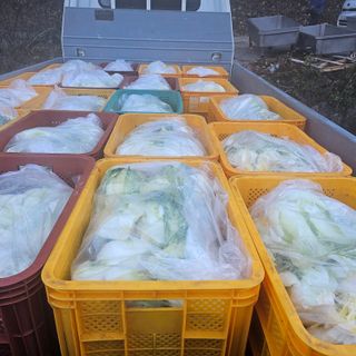 백용기님의 자유주제 · 자유게시판 작성글 사진