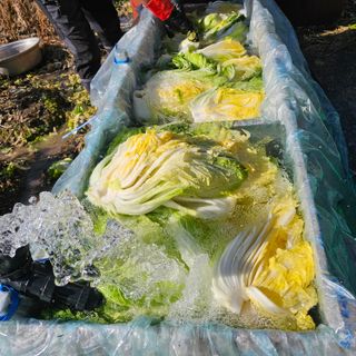 백용기님의 자유주제 · 자유게시판 작성글 사진