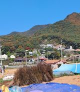 팜모닝 농사, 무엇이든 물어보세요!·참여글 게시글 이미지