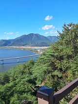 팜모닝 콩·자유게시판 게시글 이미지