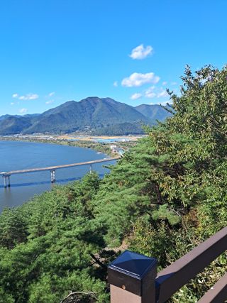 이춘식님의 콩 · 자유게시판 작성글 사진