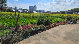 김동현님의 농사, 무엇이든 물어보세요! · 참여글 작성글 사진