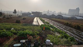 김동현님의 농사, 무엇이든 물어보세요! · 참여글 작성글 사진