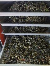 팜모닝 겨울 대비 어떻게 하셨나요·참여글 게시글 이미지