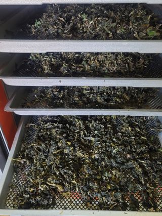 둥근마지기님의 겨울 대비 어떻게 하셨나요 · 참여글 작성글 사진