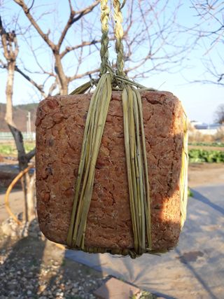 마평 농원님의 농사, 무엇이든 물어보세요! · 참여글 작성글 사진