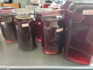 둥근마지기님의 겨울 대비 어떻게 하셨나요 · 참여글 작성글 사진