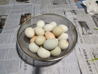 마평 농원님의 11월 내 작물 자랑하기 · 참여글 작성글 사진