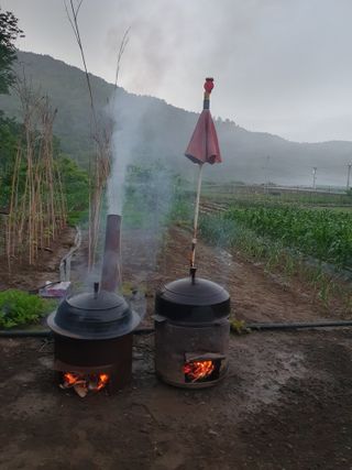 마평 농원님의 11월 내 작물 자랑하기 · 참여글 작성글 사진