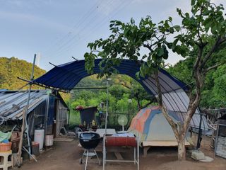 마평 농원님의 11월 내 작물 자랑하기 · 참여글 작성글 사진