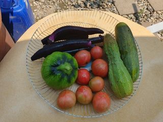 마평 농원님의 11월 내 작물 자랑하기 · 참여글 작성글 사진