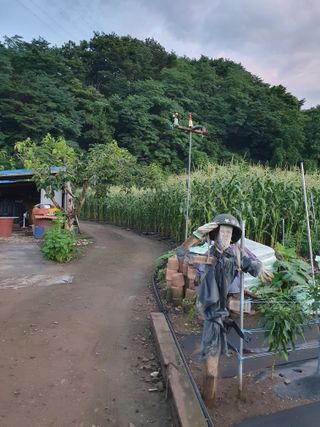 마평 농원님의 11월 내 작물 자랑하기 · 참여글 작성글 사진