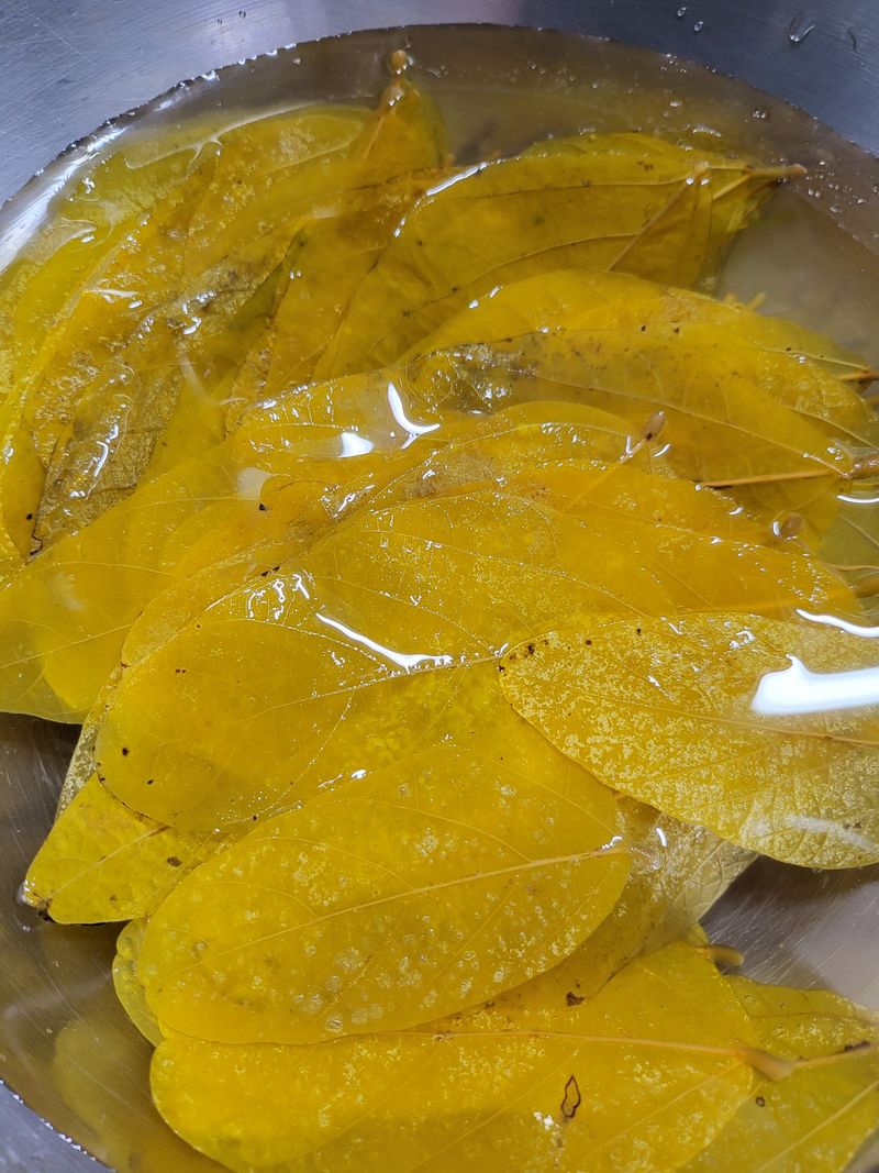 장터 상품 [단풍콩잎김치] 썸네일