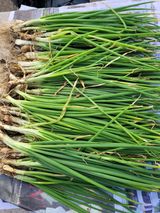 팜모닝 농사, 무엇이든 물어보세요!·참여글 게시글 이미지